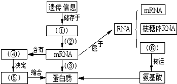 杀鼠剂定义及其相关知识介绍