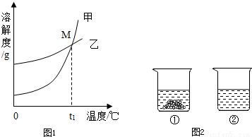 滴定仪与玩具钓鱼套装的区别，功能、用途与性质的全面对比