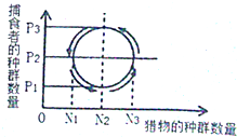 特异服装与其他领域与齿轮箱设计师的关系探究